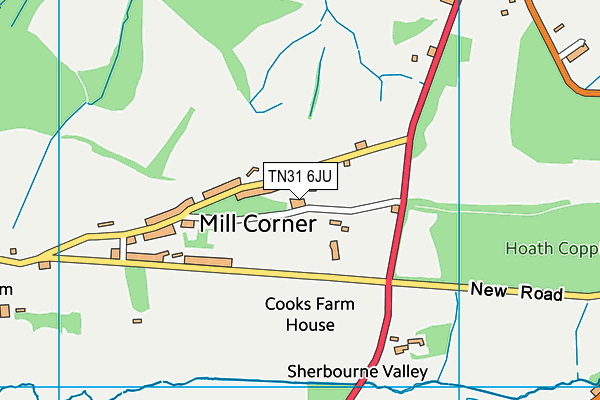 TN31 6JU map - OS VectorMap District (Ordnance Survey)