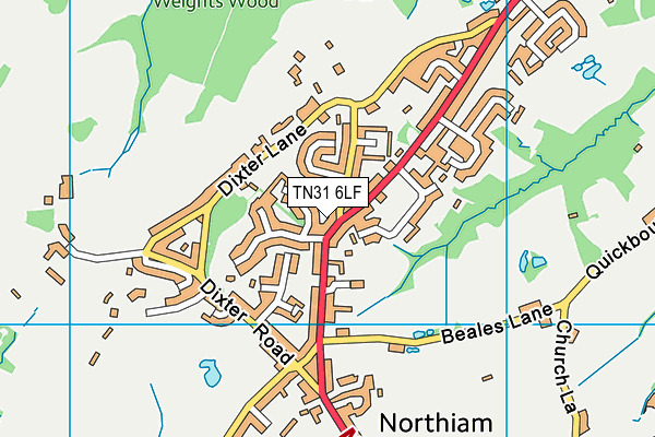 TN31 6LF map - OS VectorMap District (Ordnance Survey)