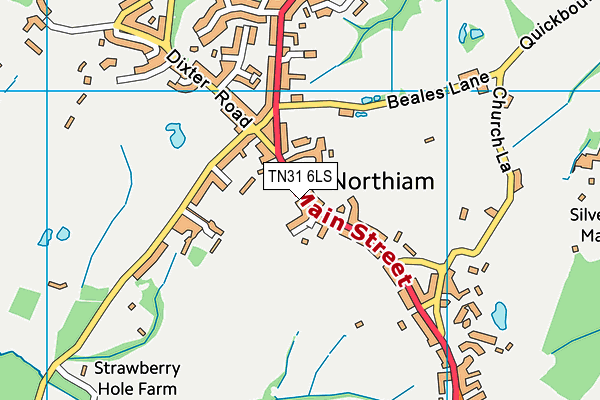 Northiam Playing Fields map (TN31 6LS) - OS VectorMap District (Ordnance Survey)