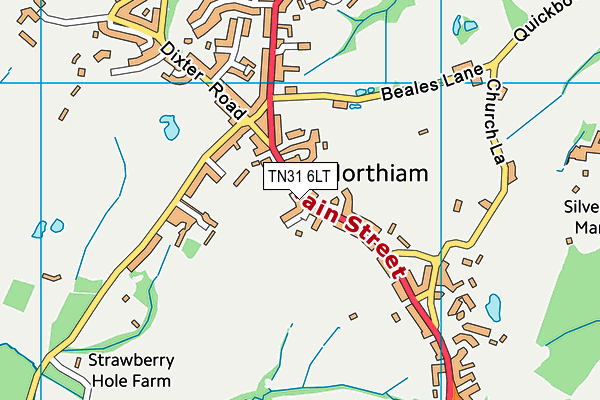 TN31 6LT map - OS VectorMap District (Ordnance Survey)