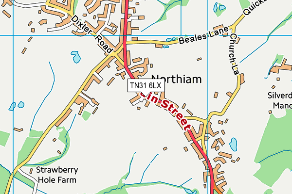 TN31 6LX map - OS VectorMap District (Ordnance Survey)