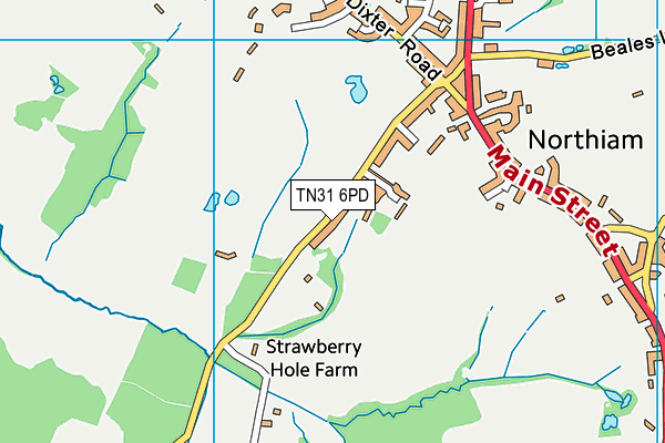 TN31 6PD map - OS VectorMap District (Ordnance Survey)
