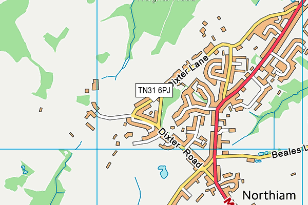 TN31 6PJ map - OS VectorMap District (Ordnance Survey)