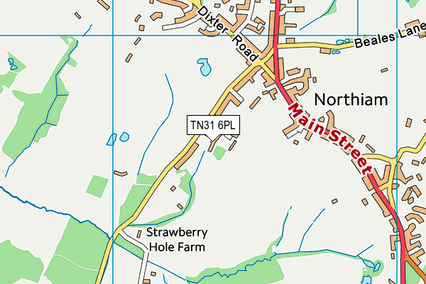 TN31 6PL map - OS VectorMap District (Ordnance Survey)