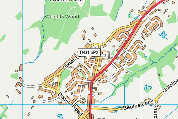 TN31 6PX map - OS VectorMap District (Ordnance Survey)