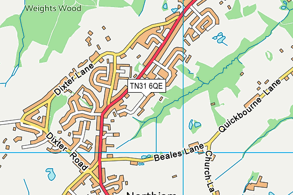 TN31 6QE map - OS VectorMap District (Ordnance Survey)
