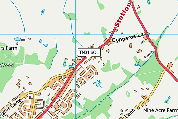 TN31 6QL map - OS VectorMap District (Ordnance Survey)