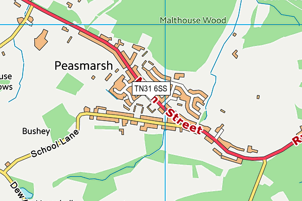 TN31 6SS map - OS VectorMap District (Ordnance Survey)