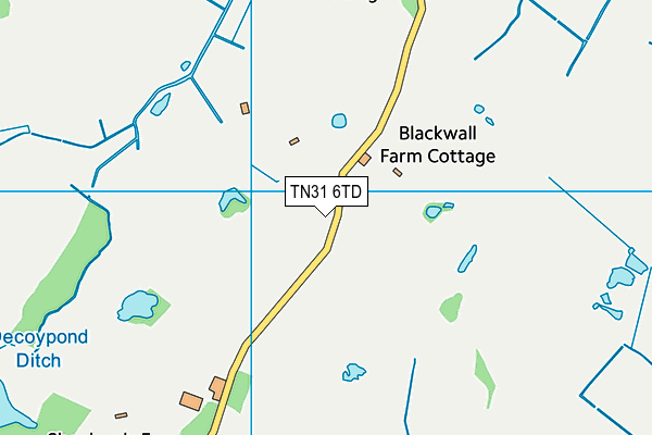 TN31 6TD map - OS VectorMap District (Ordnance Survey)