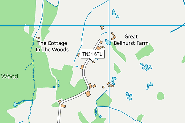TN31 6TU map - OS VectorMap District (Ordnance Survey)