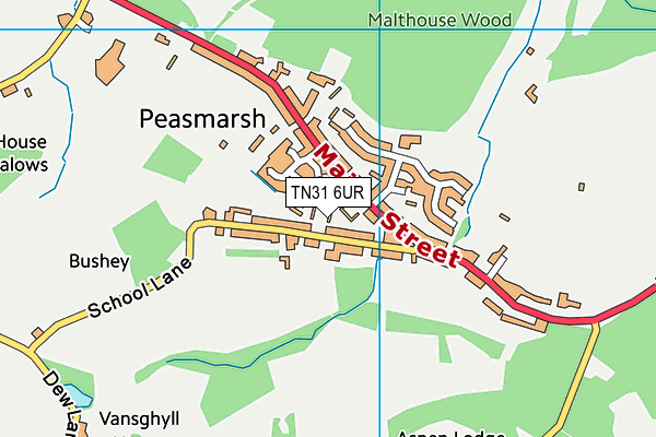 TN31 6UR map - OS VectorMap District (Ordnance Survey)