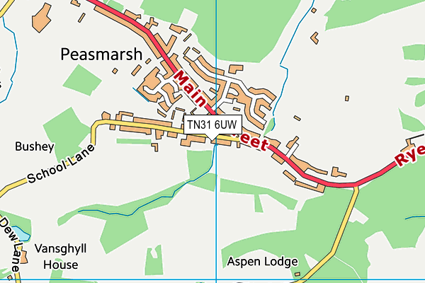 Peasmarsh Church of England Primary School map (TN31 6UW) - OS VectorMap District (Ordnance Survey)
