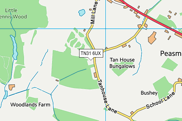 TN31 6UX map - OS VectorMap District (Ordnance Survey)