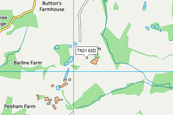 TN31 6XD map - OS VectorMap District (Ordnance Survey)