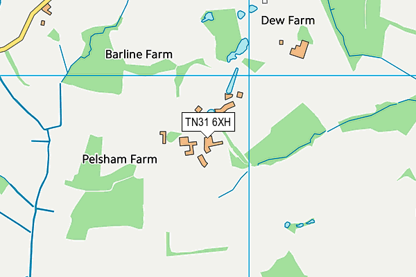 TN31 6XH map - OS VectorMap District (Ordnance Survey)