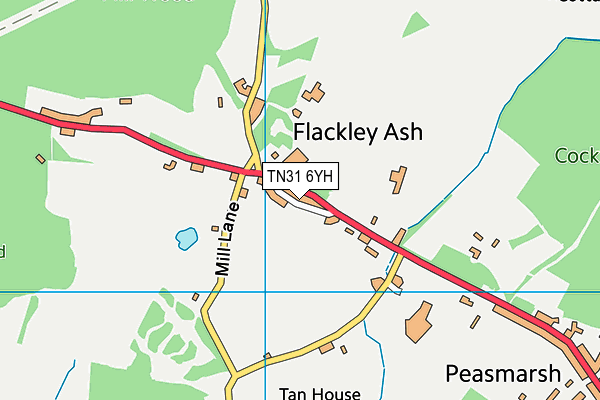Flackley Ash Hotel Leisure Club map (TN31 6YH) - OS VectorMap District (Ordnance Survey)