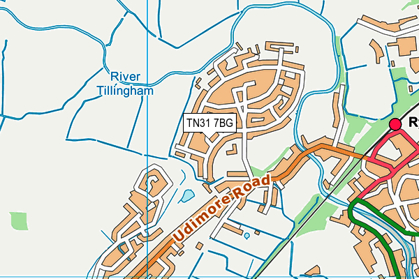 TN31 7BG map - OS VectorMap District (Ordnance Survey)