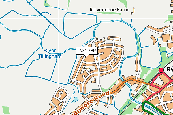TN31 7BP map - OS VectorMap District (Ordnance Survey)