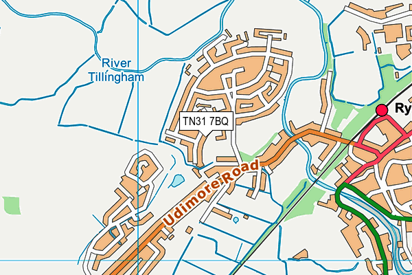 TN31 7BQ map - OS VectorMap District (Ordnance Survey)