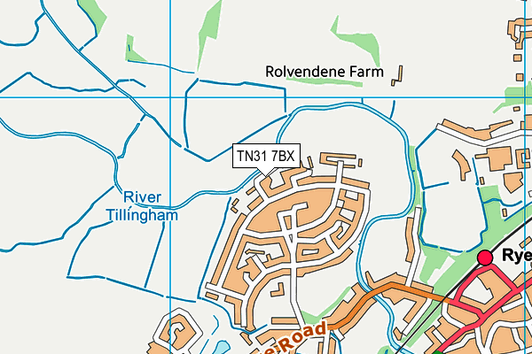 TN31 7BX map - OS VectorMap District (Ordnance Survey)