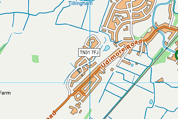 TN31 7FJ map - OS VectorMap District (Ordnance Survey)