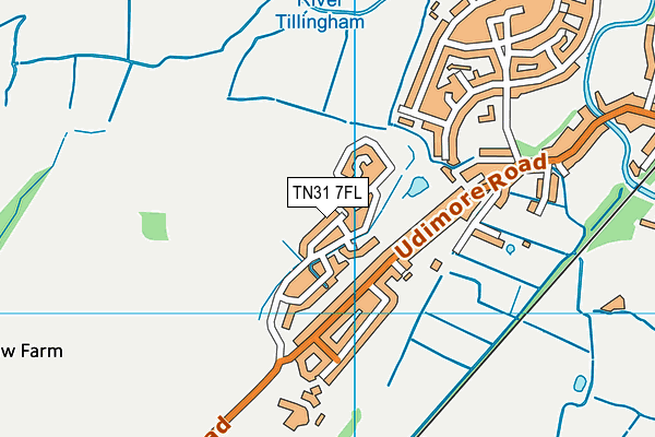 TN31 7FL map - OS VectorMap District (Ordnance Survey)