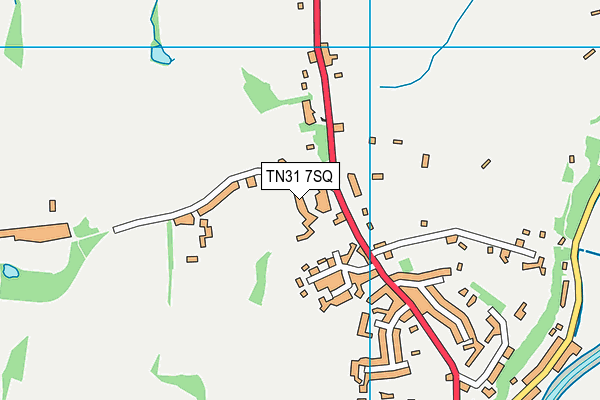 TN31 7SQ map - OS VectorMap District (Ordnance Survey)