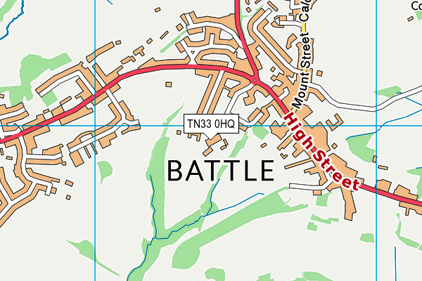 Battle And Langton Primary School map (TN33 0HQ) - OS VectorMap District (Ordnance Survey)