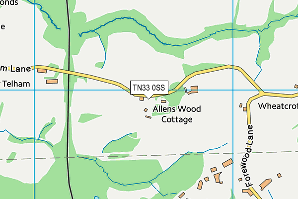 TN33 0SS map - OS VectorMap District (Ordnance Survey)