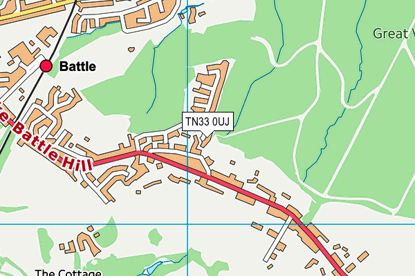 TN33 0UJ map - OS VectorMap District (Ordnance Survey)