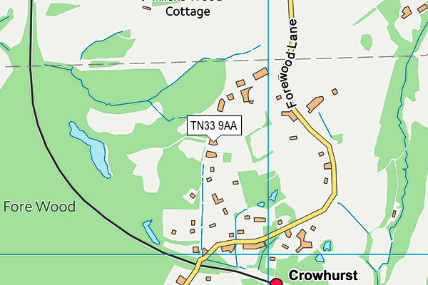 TN33 9AA map - OS VectorMap District (Ordnance Survey)