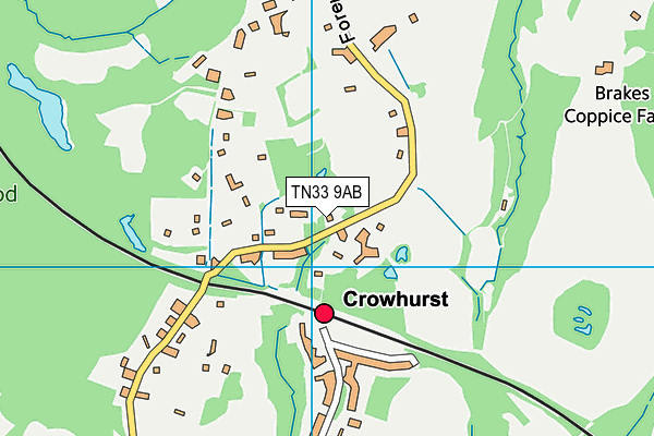 TN33 9AB map - OS VectorMap District (Ordnance Survey)