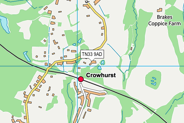TN33 9AD map - OS VectorMap District (Ordnance Survey)