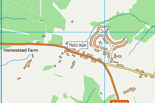 TN33 9QH map - OS VectorMap District (Ordnance Survey)