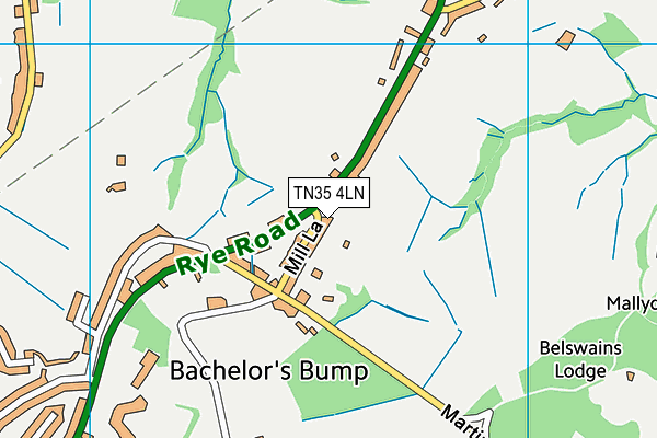 TN35 4LN map - OS VectorMap District (Ordnance Survey)