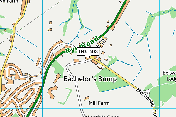 TN35 5DS map - OS VectorMap District (Ordnance Survey)