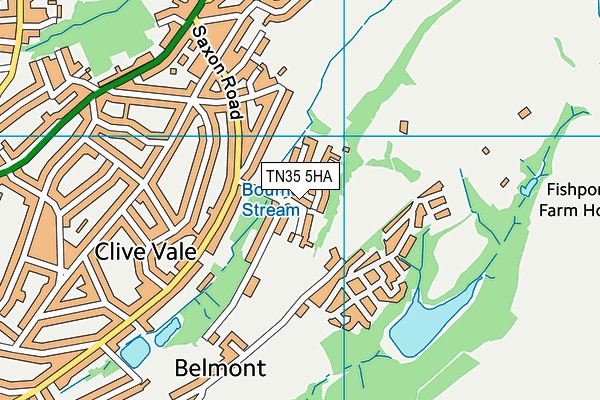 TN35 5HA map - OS VectorMap District (Ordnance Survey)