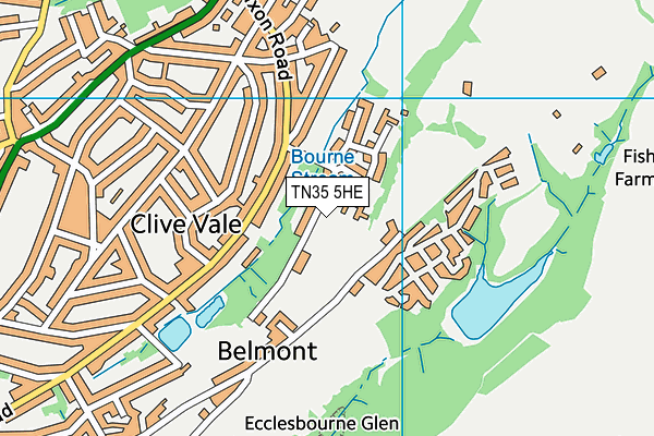 TN35 5HE map - OS VectorMap District (Ordnance Survey)