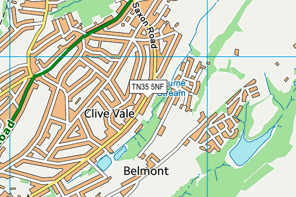 TN35 5NF map - OS VectorMap District (Ordnance Survey)
