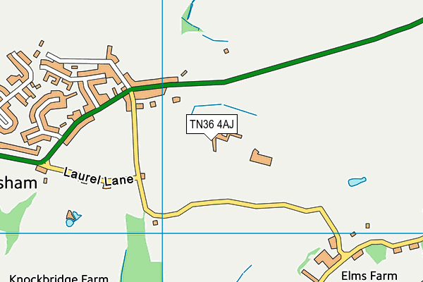 TN36 4AJ map - OS VectorMap District (Ordnance Survey)