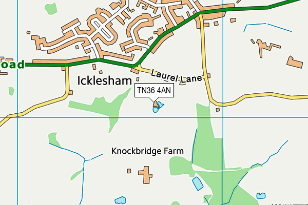 TN36 4AN map - OS VectorMap District (Ordnance Survey)