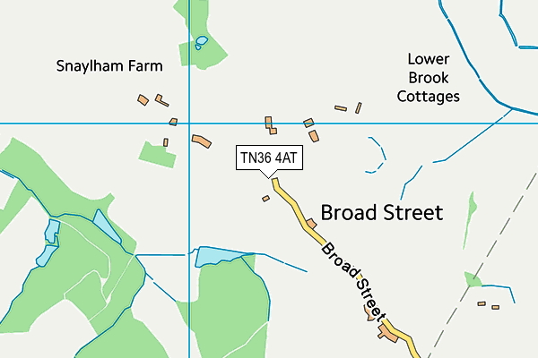 TN36 4AT map - OS VectorMap District (Ordnance Survey)