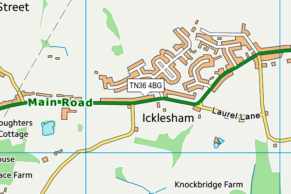 TN36 4BG map - OS VectorMap District (Ordnance Survey)