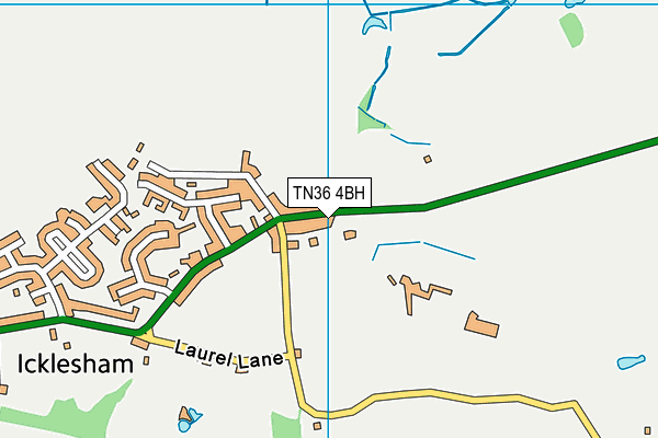 TN36 4BH map - OS VectorMap District (Ordnance Survey)