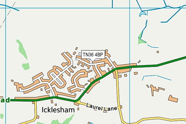 TN36 4BP map - OS VectorMap District (Ordnance Survey)