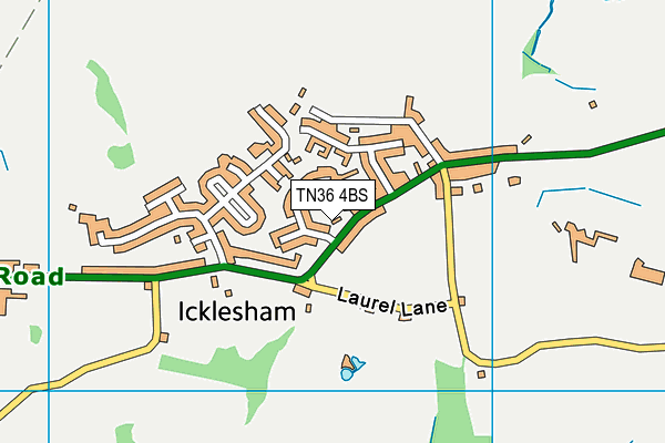 Icklesham Recreation Ground map (TN36 4BS) - OS VectorMap District (Ordnance Survey)
