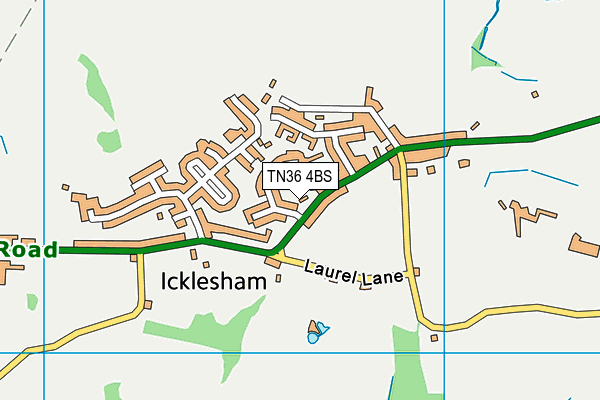 TN36 4BS map - OS VectorMap District (Ordnance Survey)