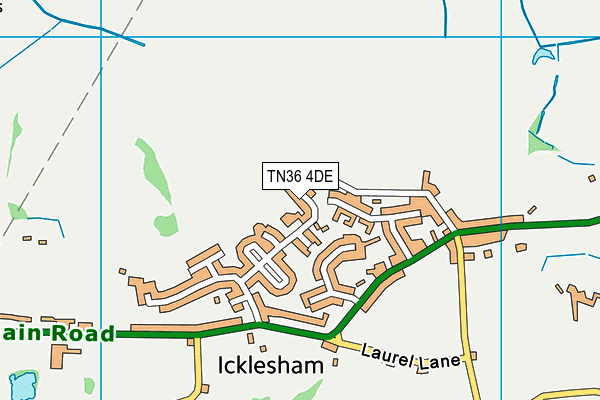 TN36 4DE map - OS VectorMap District (Ordnance Survey)