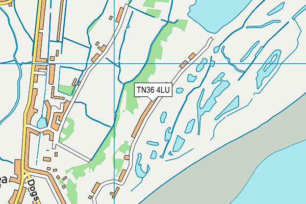 TN36 4LU map - OS VectorMap District (Ordnance Survey)
