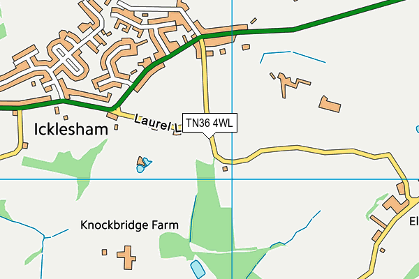 TN36 4WL map - OS VectorMap District (Ordnance Survey)